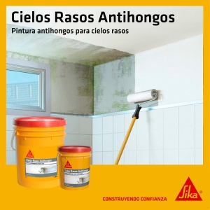 Pintura Cielos Rasos Antihongo Sika 20+20 - Imagen 3