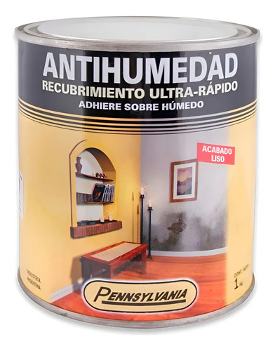 Pintura Antihumedad Pennsylvania 1lt
