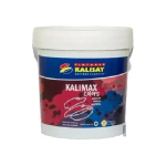 Pintura Látex Interior Con Colores Kalimax 3.6lts