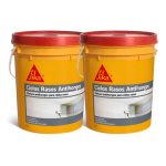 Pintura Cielos Rasos Antihongo Sika 20+20